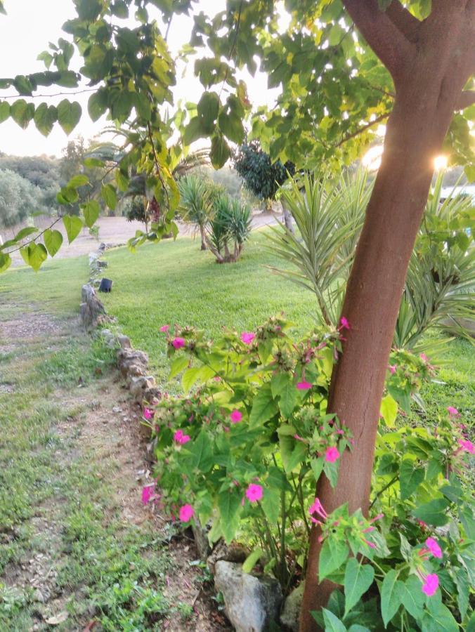 Вилла Quinta Da Perdiz Country House Сантарен Экстерьер фото